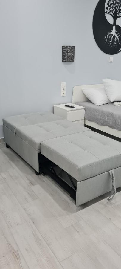 Cozy Apartment With Garden Near Town Center, Fully Renovated. Atenas Exterior foto
